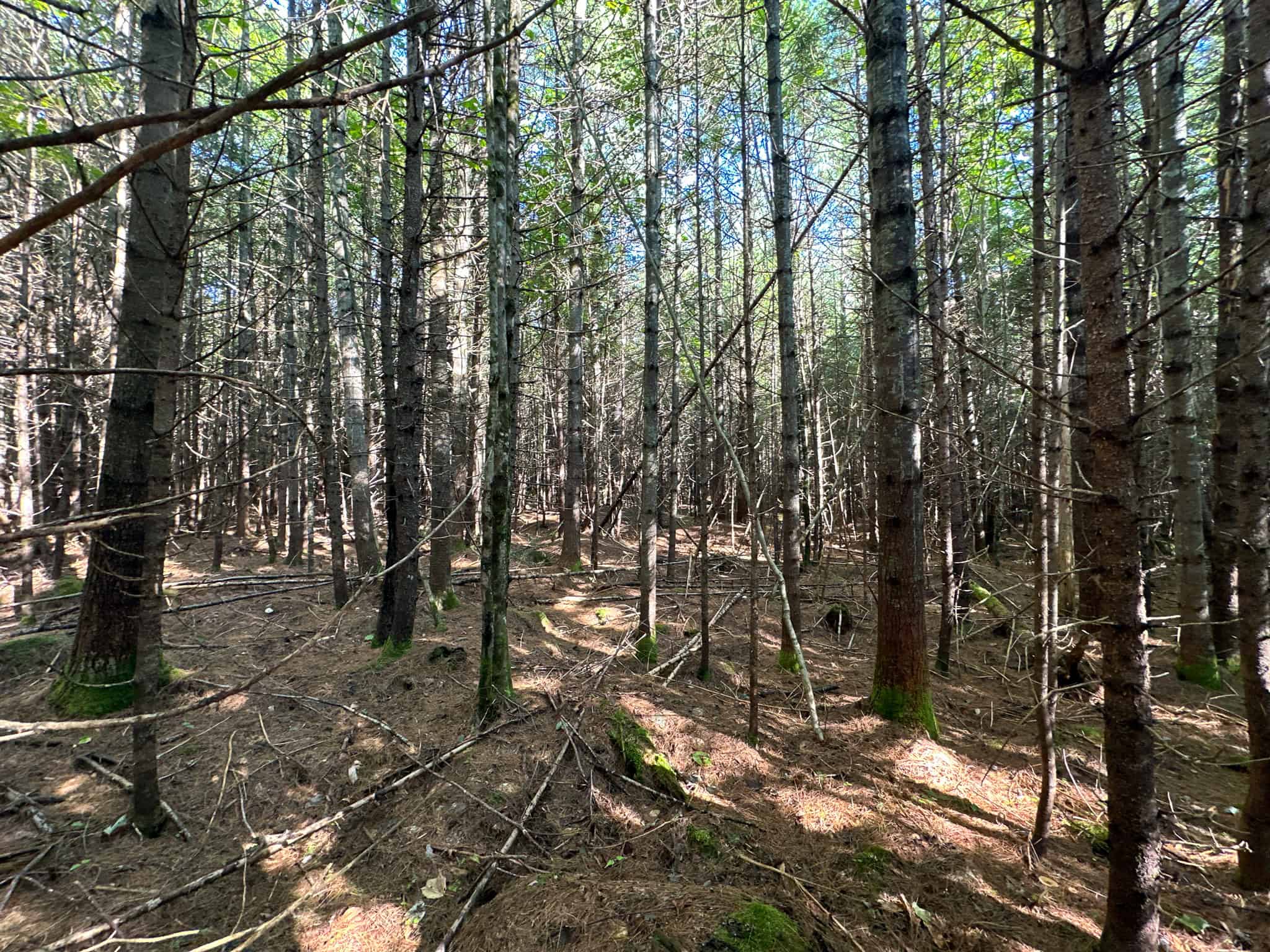 Off Grid Land Big Timber