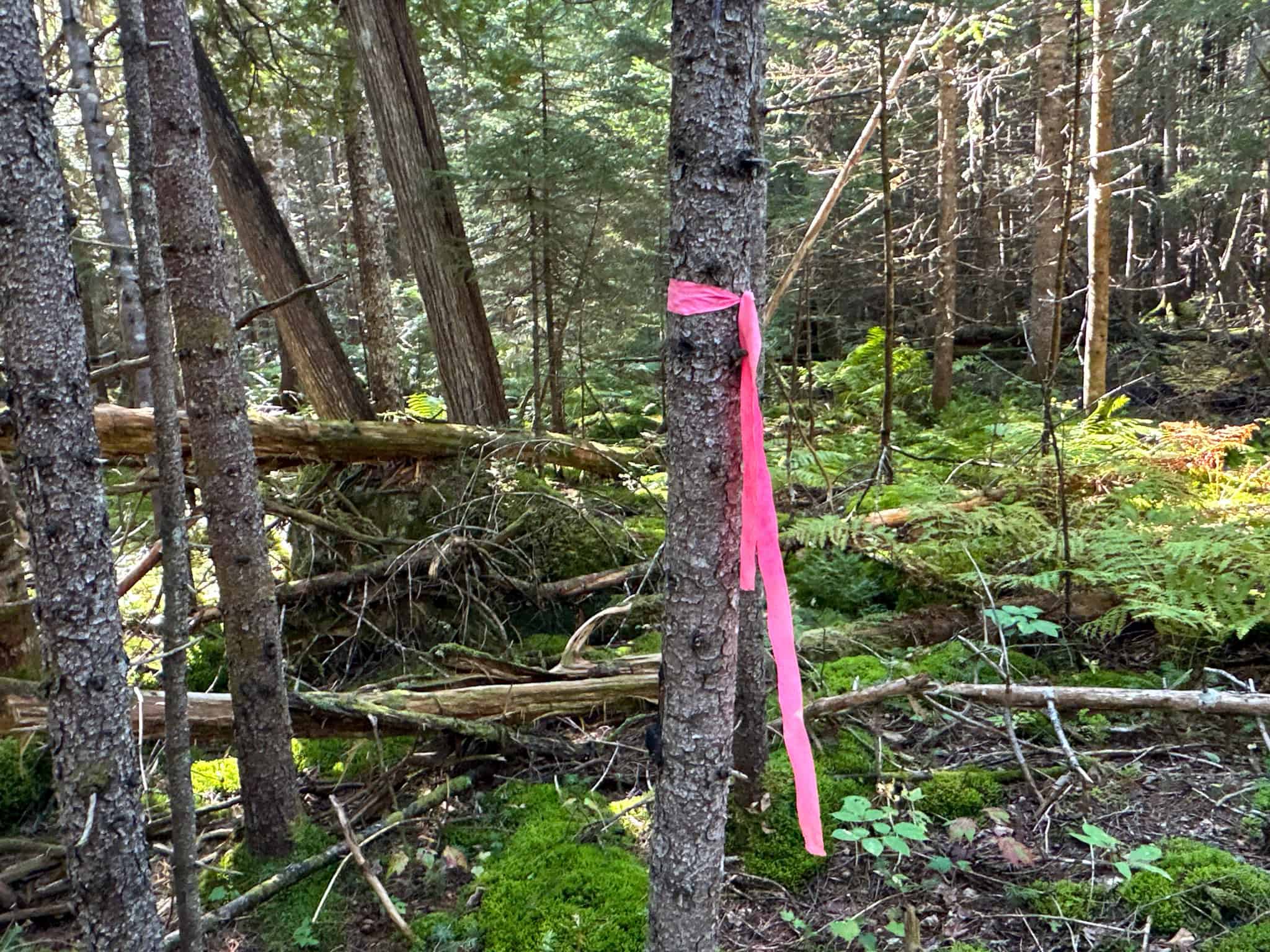 Off Grid Land Big Timber