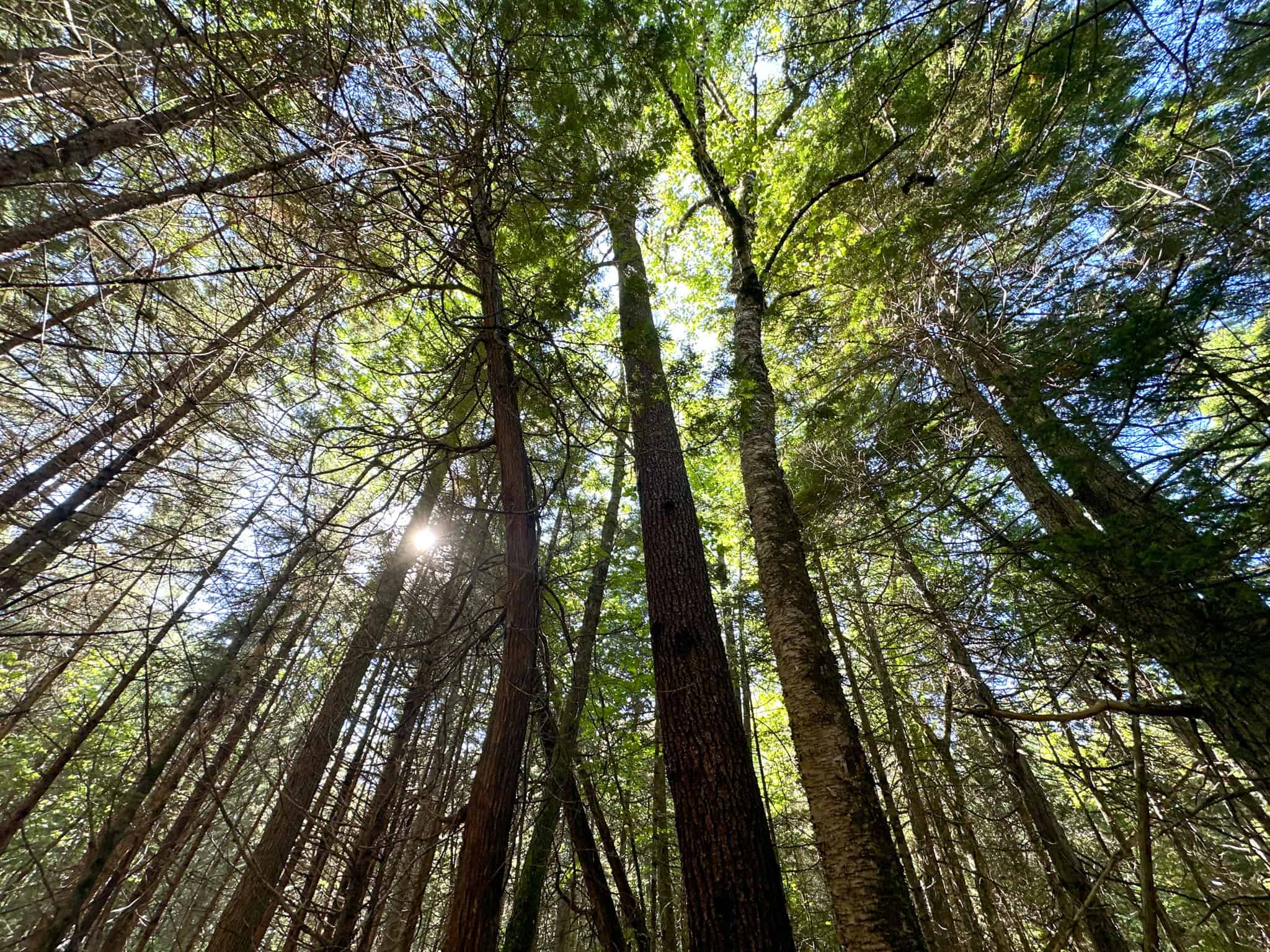 Off Grid Land Big Timber