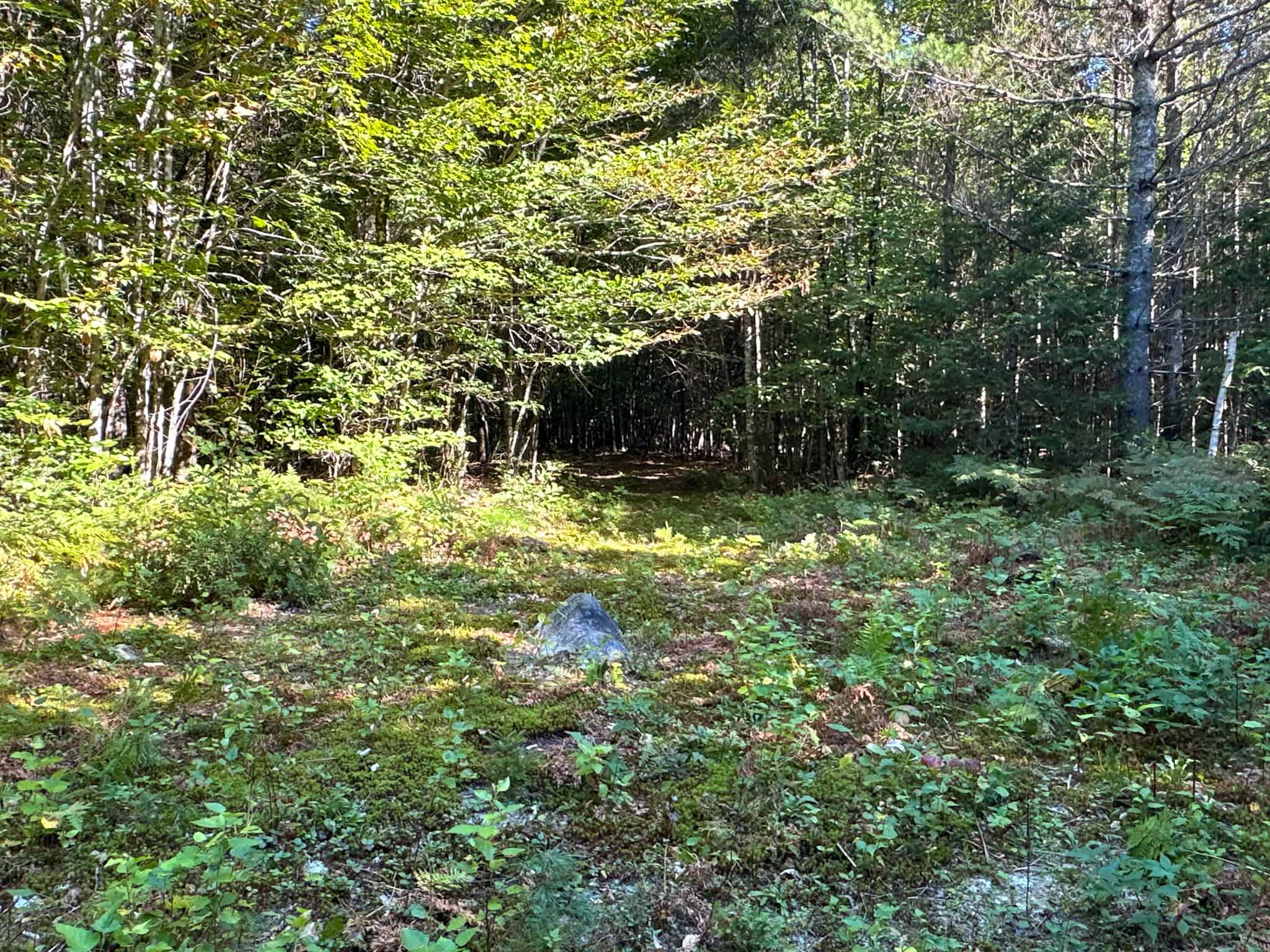 Off Grid Land Big Timber