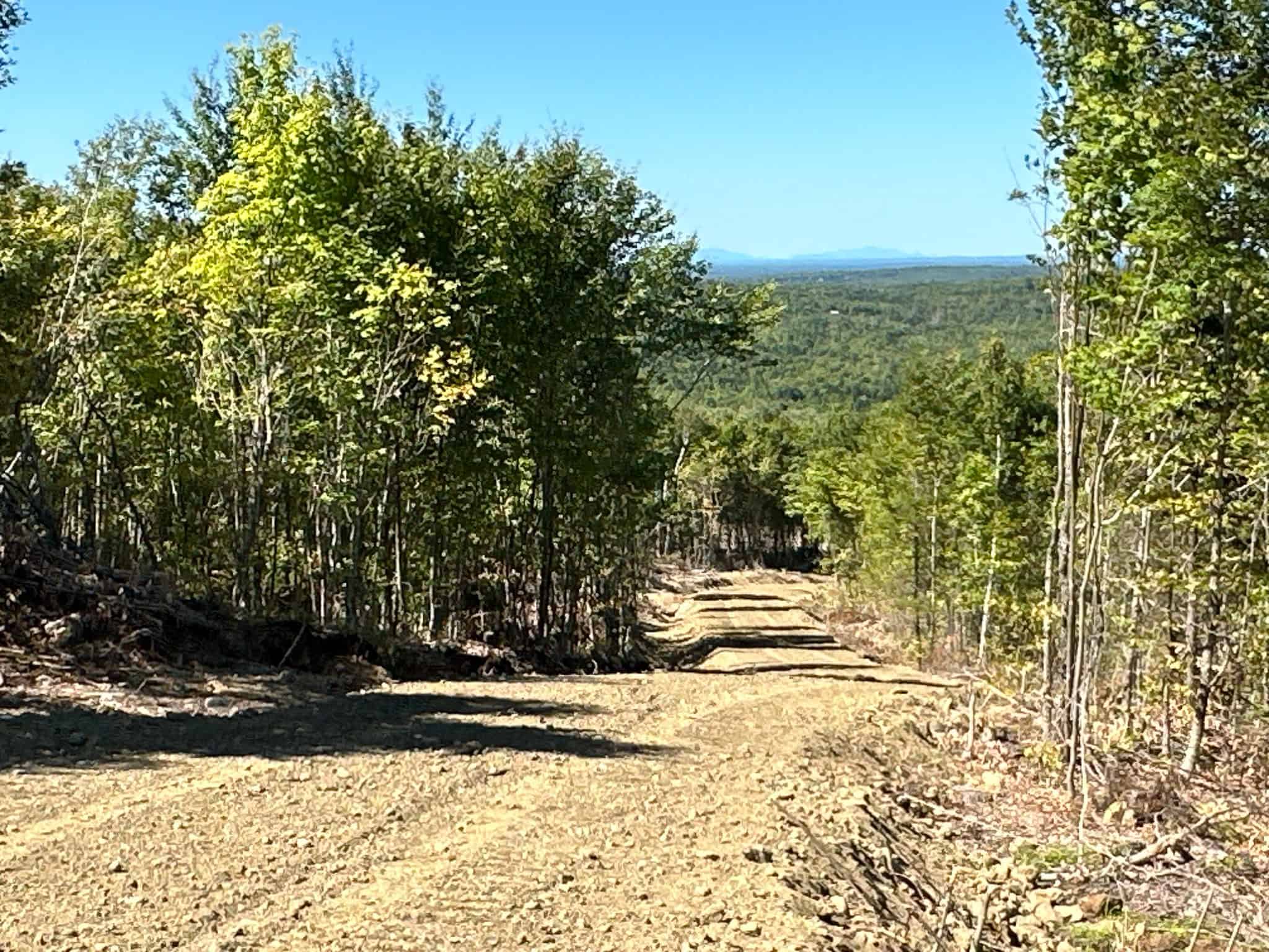 575 Acres Mountain – Brooks – Hardwoods
