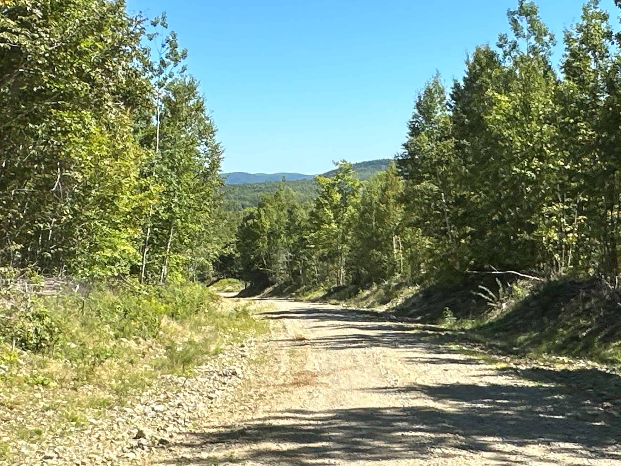 575 Acres Mountain – Brooks – Hardwoods