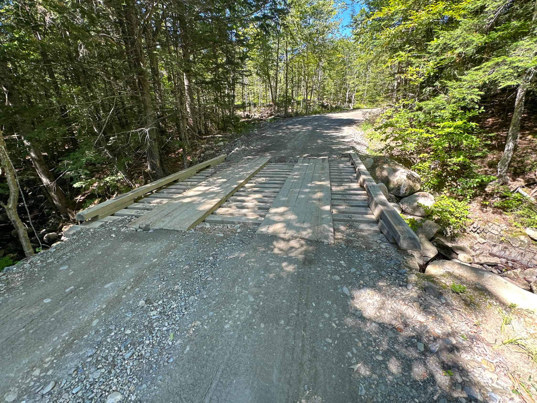 575 Acres Mountain – Brooks – Hardwoods