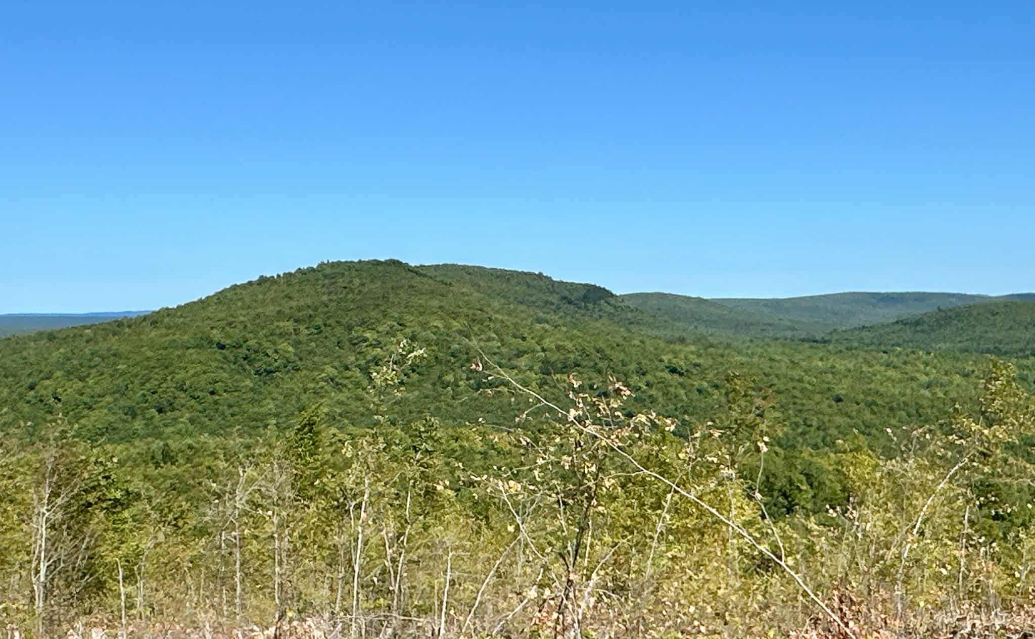 575 Acres Mountain – Brooks – Hardwoods