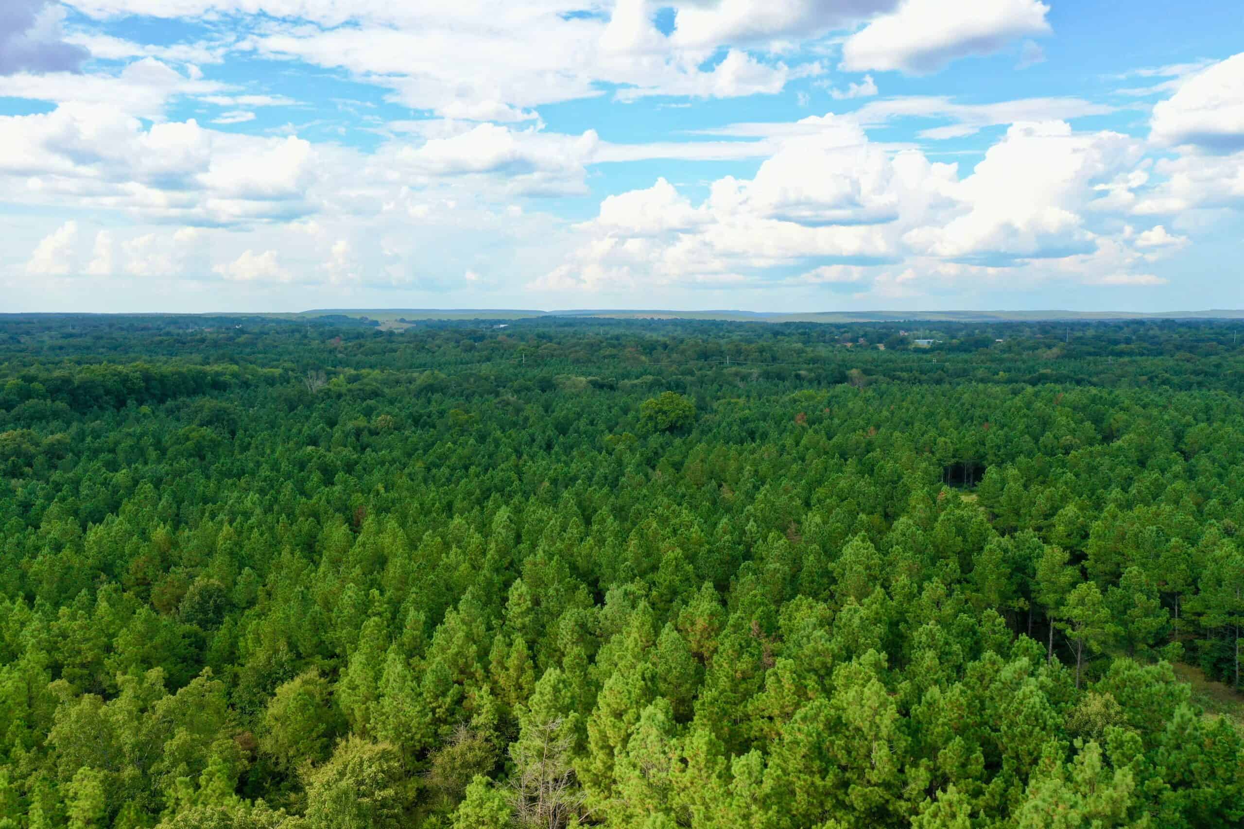 80 Acre Hunter’s Paradise Antlers, Oklahoma