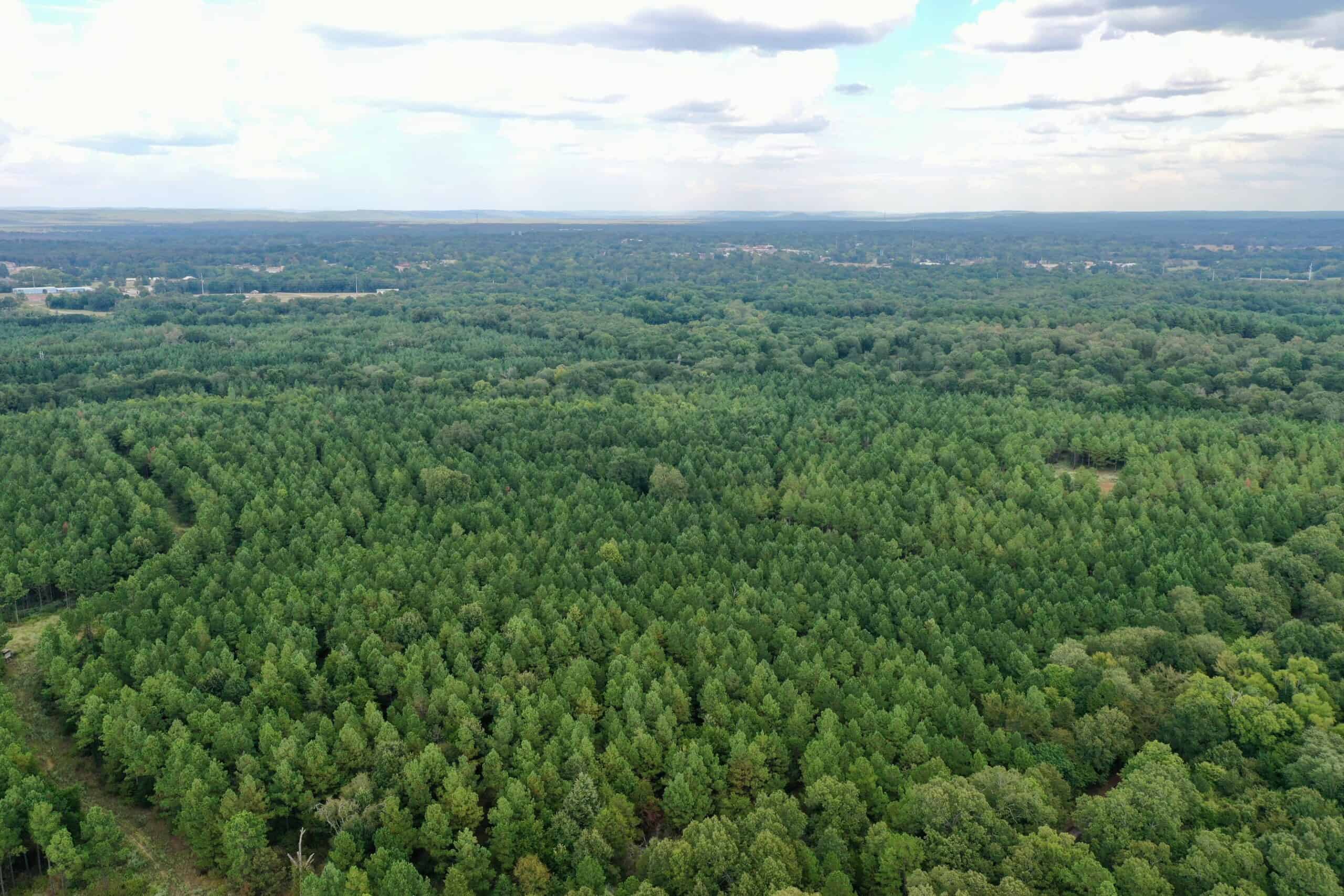 80 Acre Hunter’s Paradise Antlers, Oklahoma