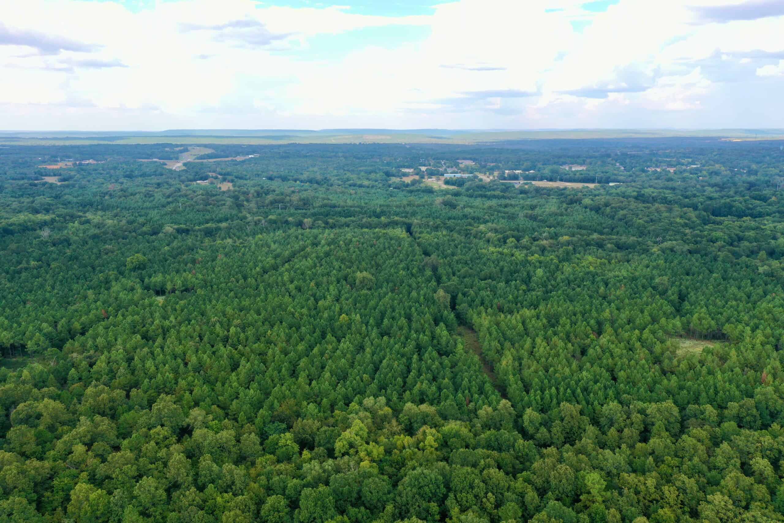 80 Acre Hunter’s Paradise Antlers, Oklahoma
