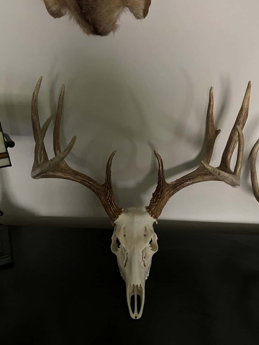 Linn County Kansas Honey Hole