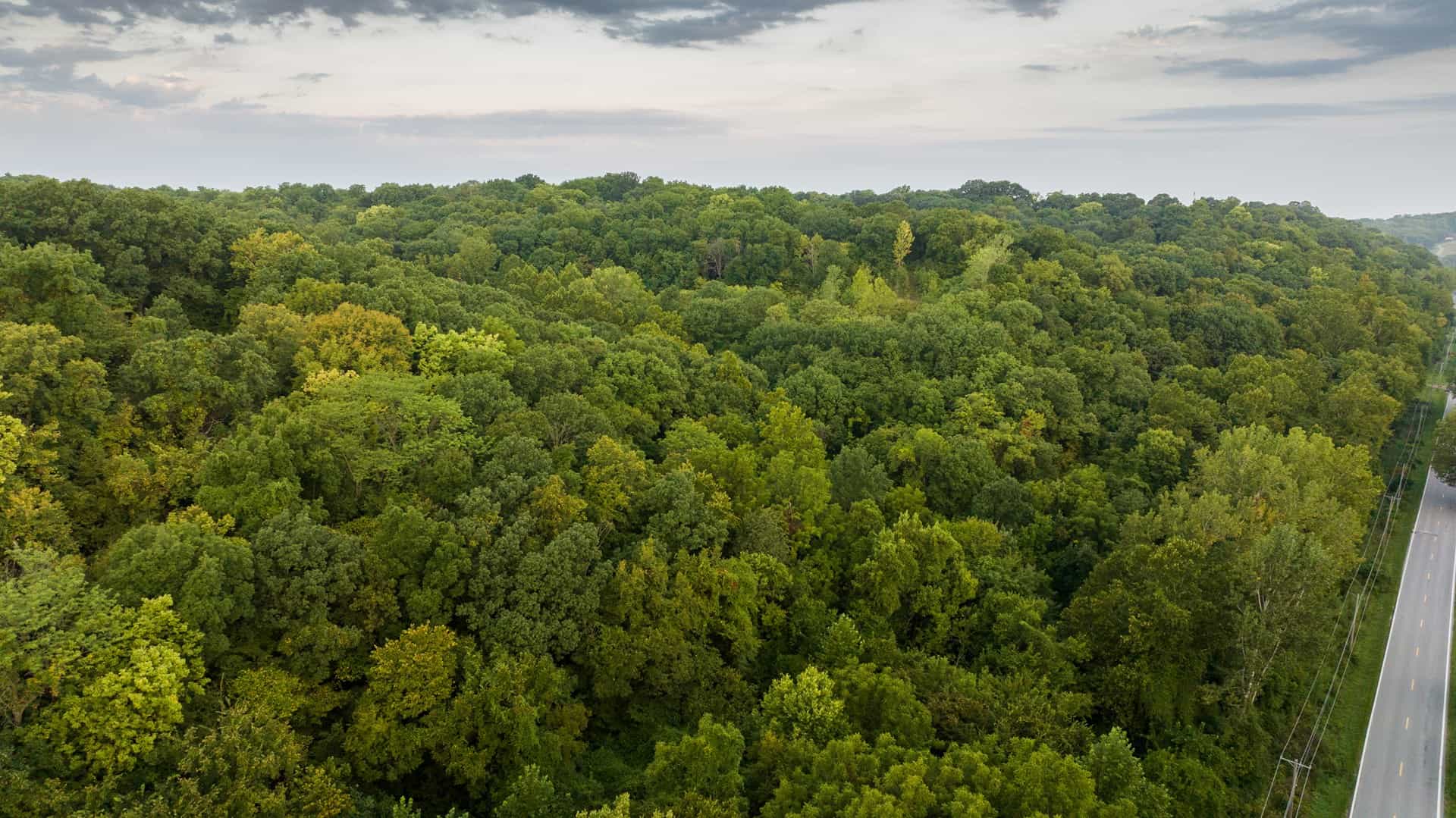 Missouri River Views – 44.56 Acres