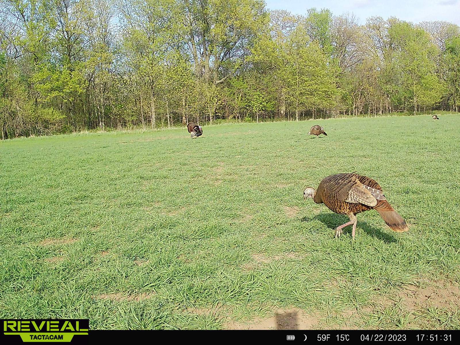Linn County Kansas Honey Hole