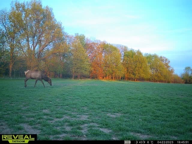 Linn County Kansas Honey Hole