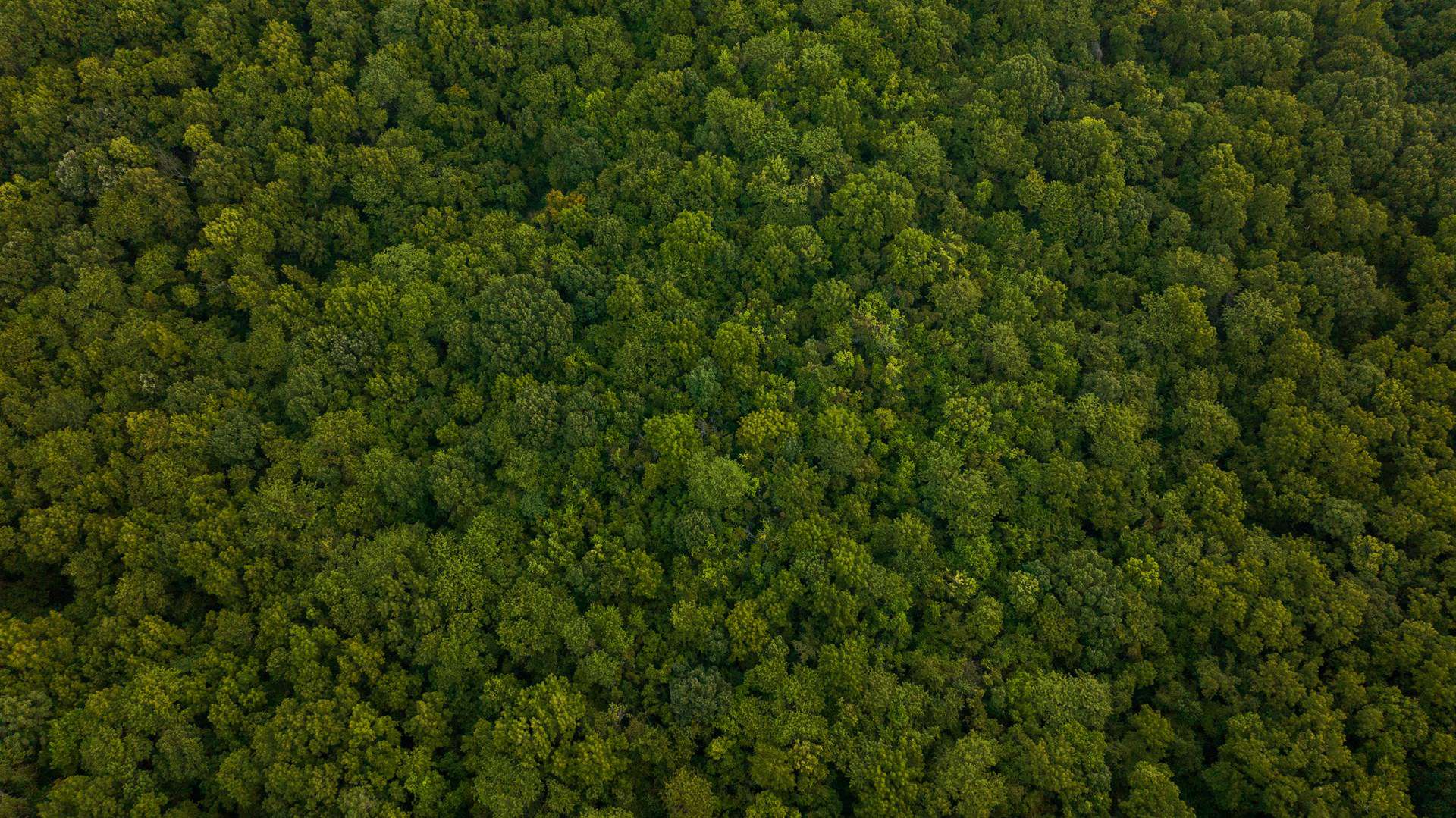 Missouri River Bluffs 46.67 Acres