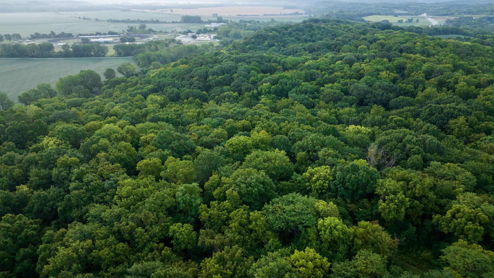 Missouri River Bluffs 46.67 Acres