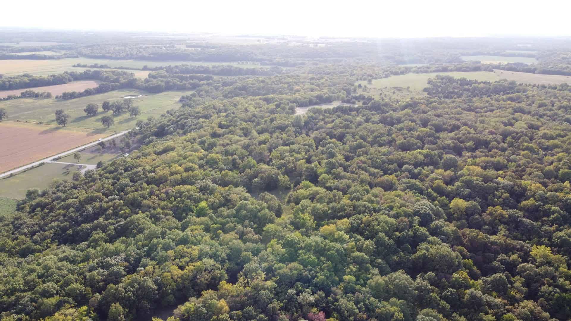 Linn County Kansas Honey Hole