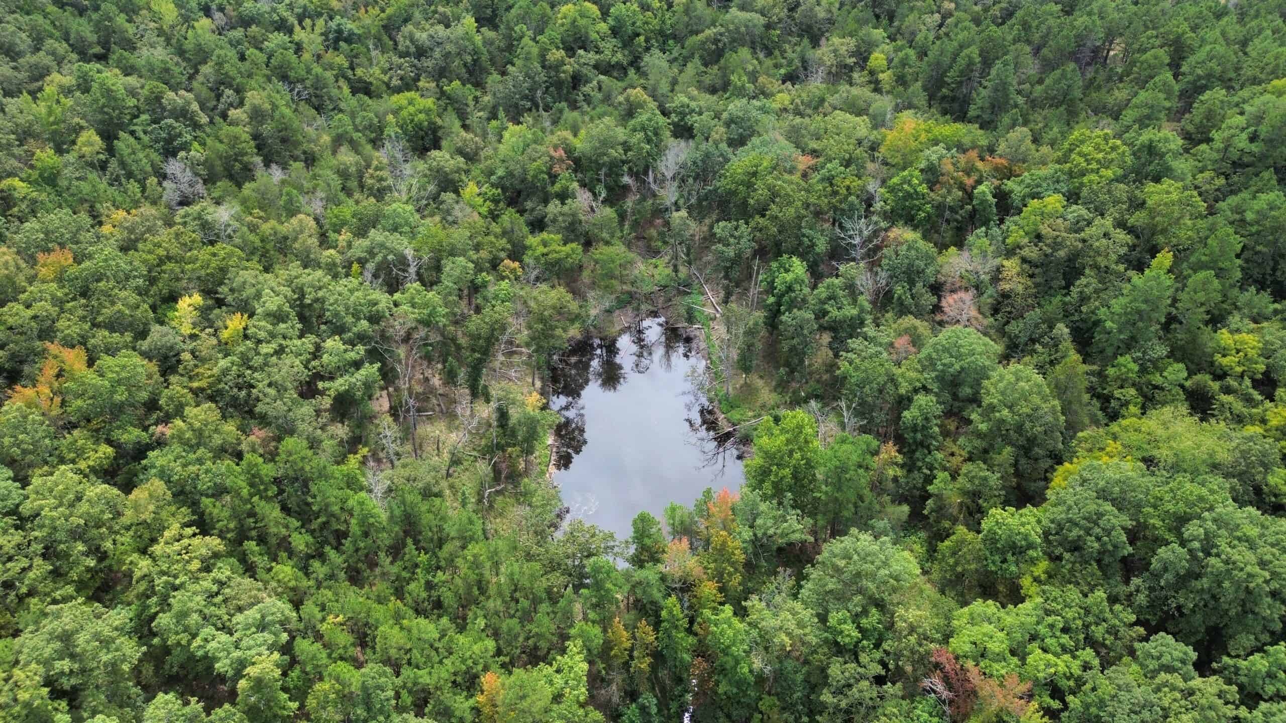 HUNTING, RECREATIONAL, AND FARMLAND FOR SALE IN ARKANSAS