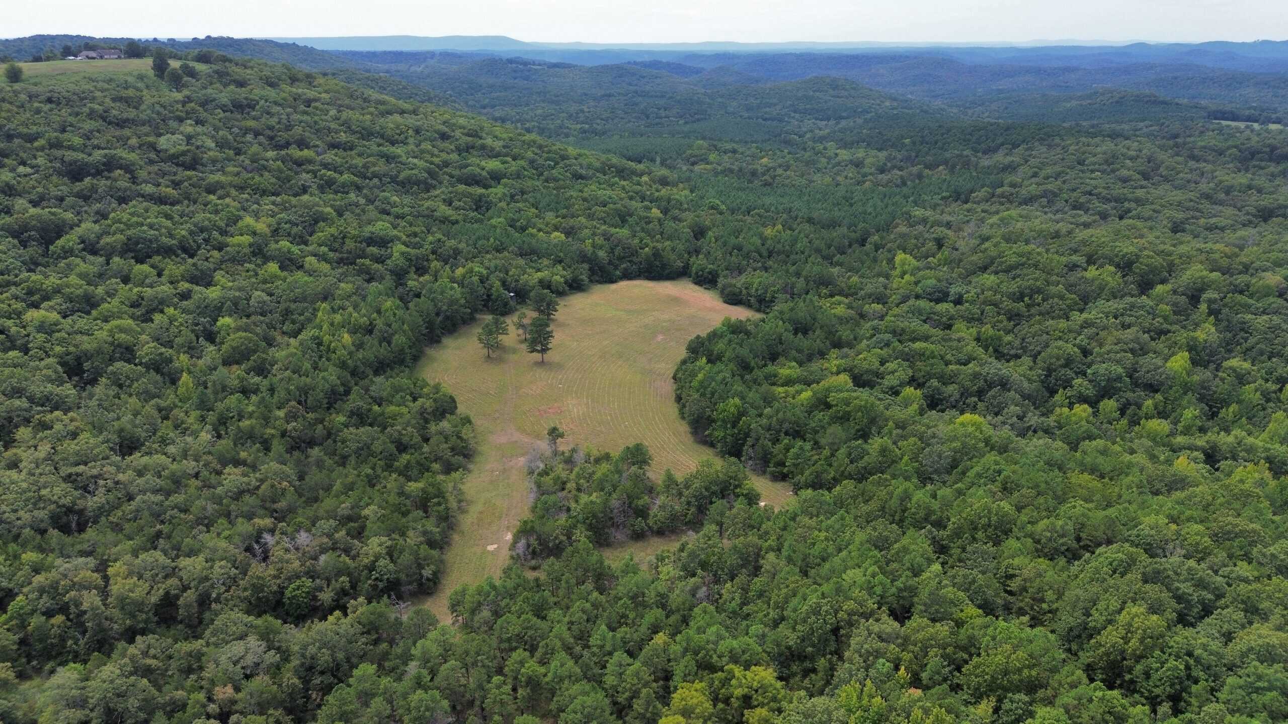 HUNTING, RECREATIONAL, AND FARMLAND FOR SALE IN ARKANSAS
