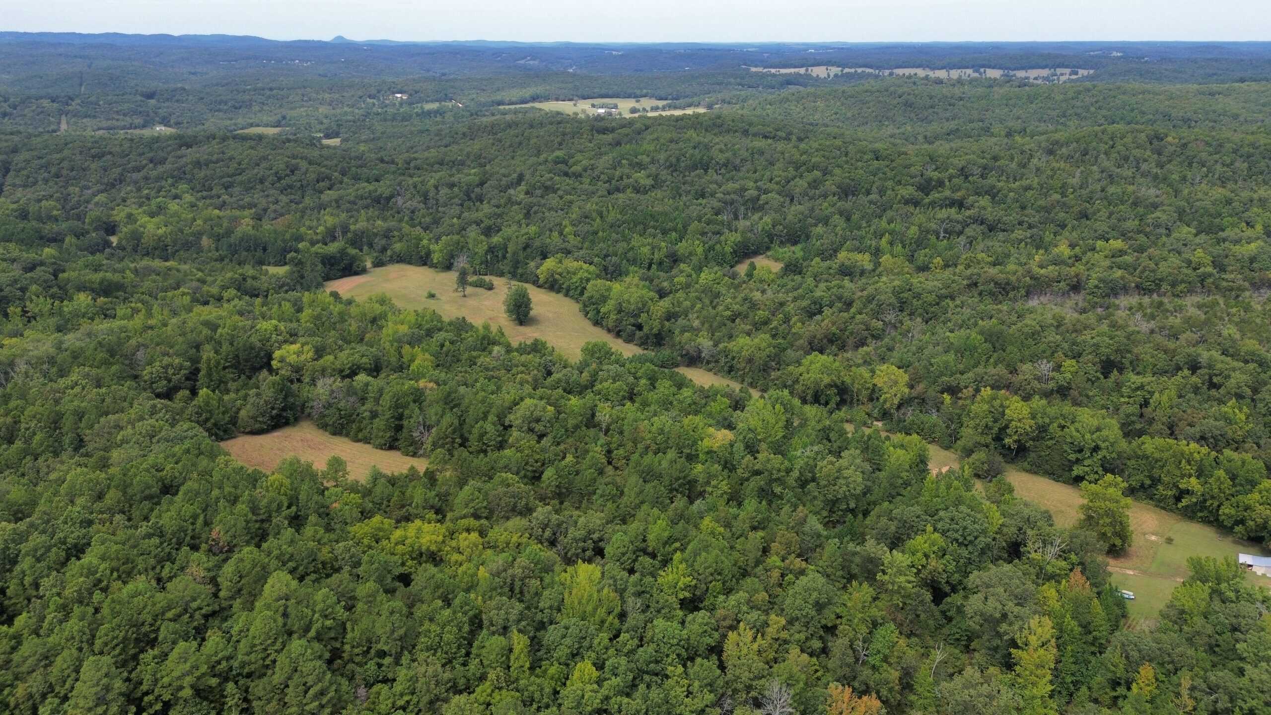 HUNTING, RECREATIONAL, AND FARMLAND FOR SALE IN ARKANSAS