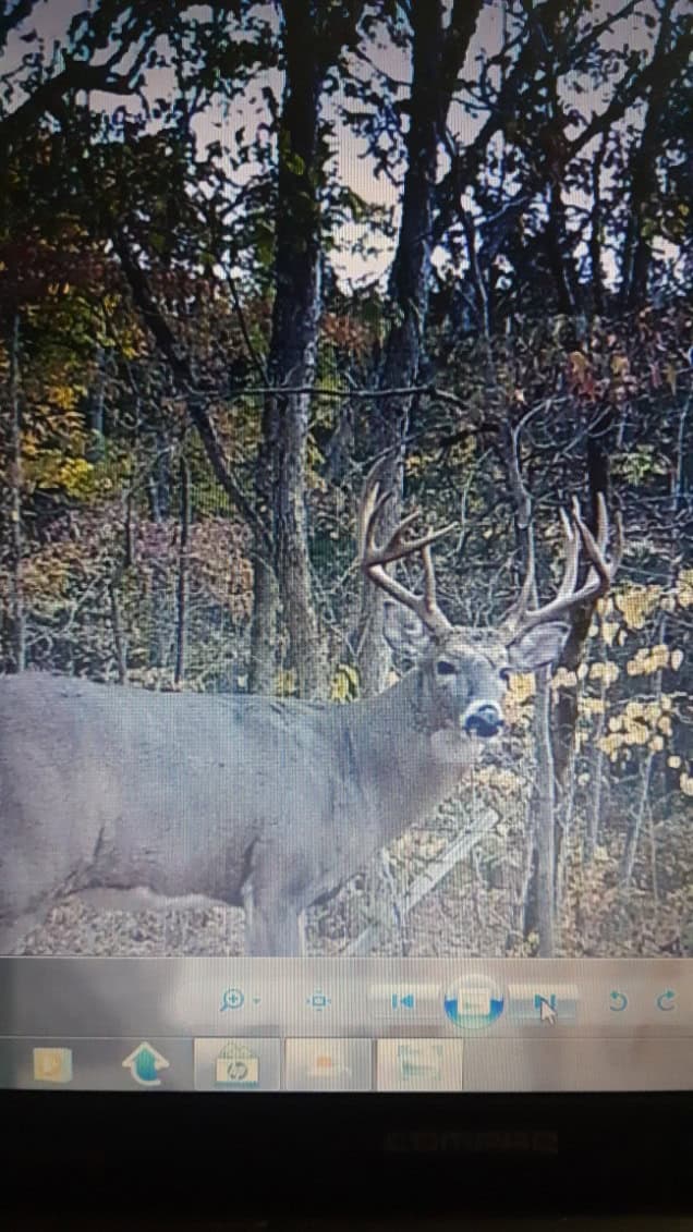 Country Home and Land for Sale in Maries County, MO near Vienna