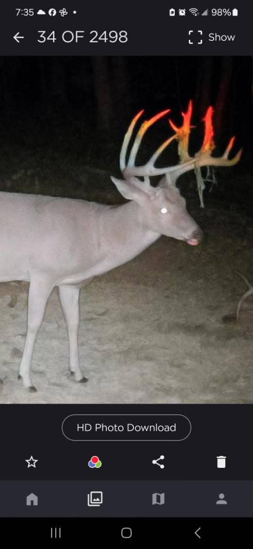 Country Home and Land for Sale in Maries County, MO near Vienna