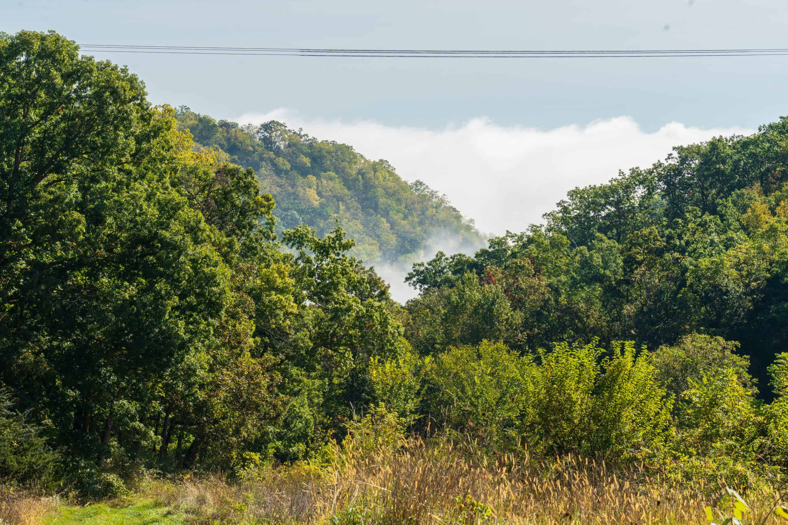 130 Acres of Prime Hunting Land in New Albin, IA UC Hunting Properties