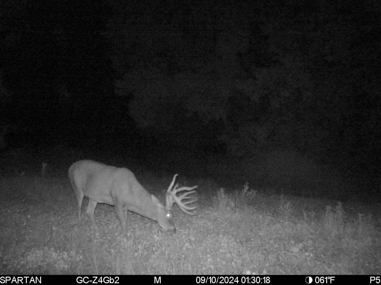 130 Acres of Prime Hunting Land in New Albin, IA UC Hunting Properties