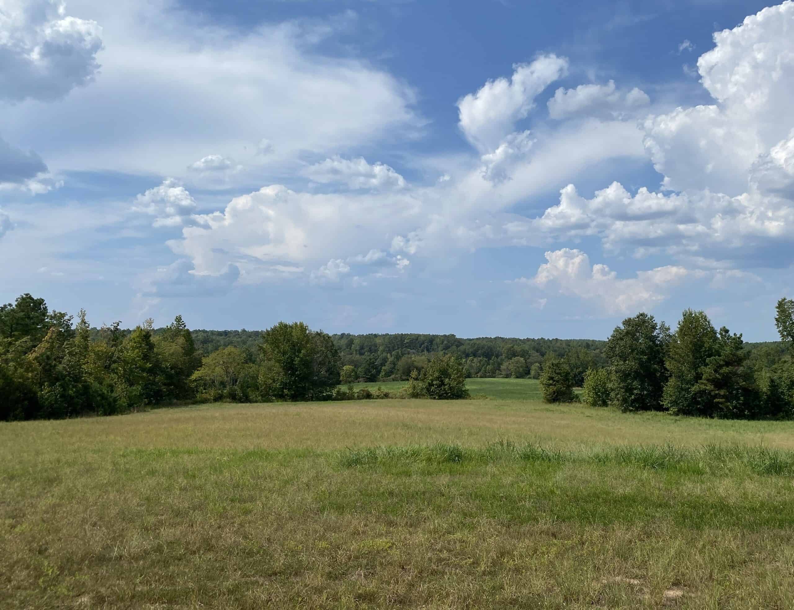COUNTRY HOME FOR SALE IN TN, 68 AC+/-, SHEDS, POND, & CREEK