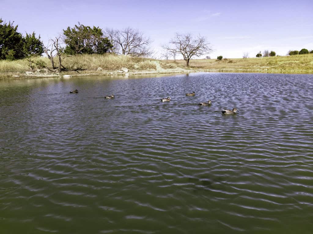 Central Texas 34.5-Acre Fenced Ranch for Sale – Perfect Custom Home Site