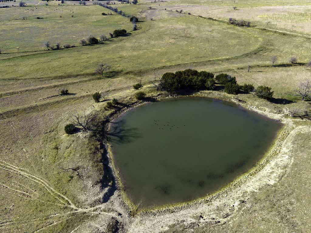 Central Texas 34.5-Acre Fenced Ranch for Sale – Perfect Custom Home Site
