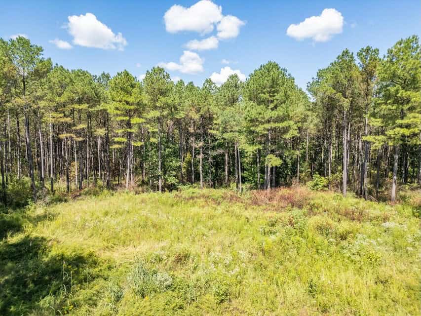 35 Acres For Sale Starkville MS