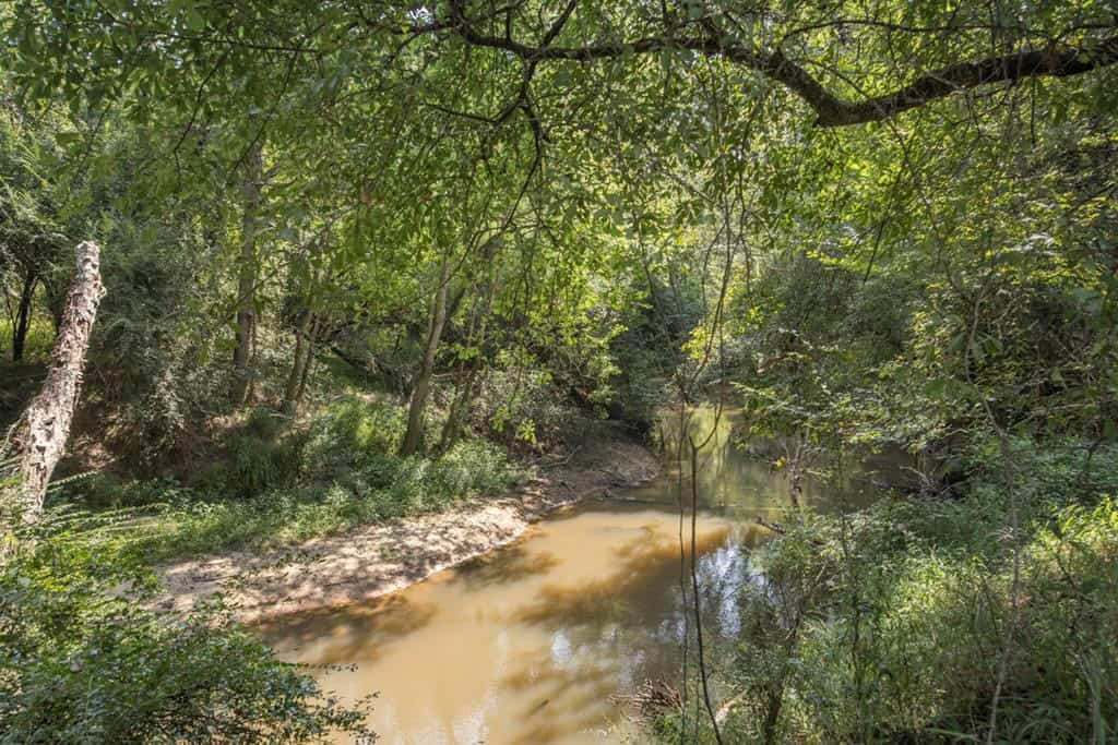 137 Acres for Sale with Comite River Frontage