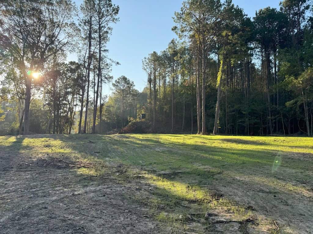296 Acre Timberland for Sale with Creek Southwest MS