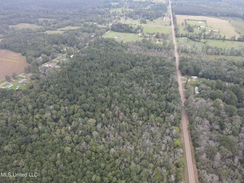42 Acres for Sale with Old Country Home Scott Co MS