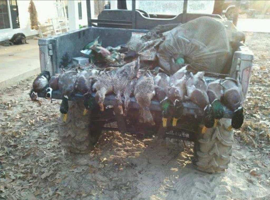 Hunting and Timberland for Sale in Ouachita Parish, LA