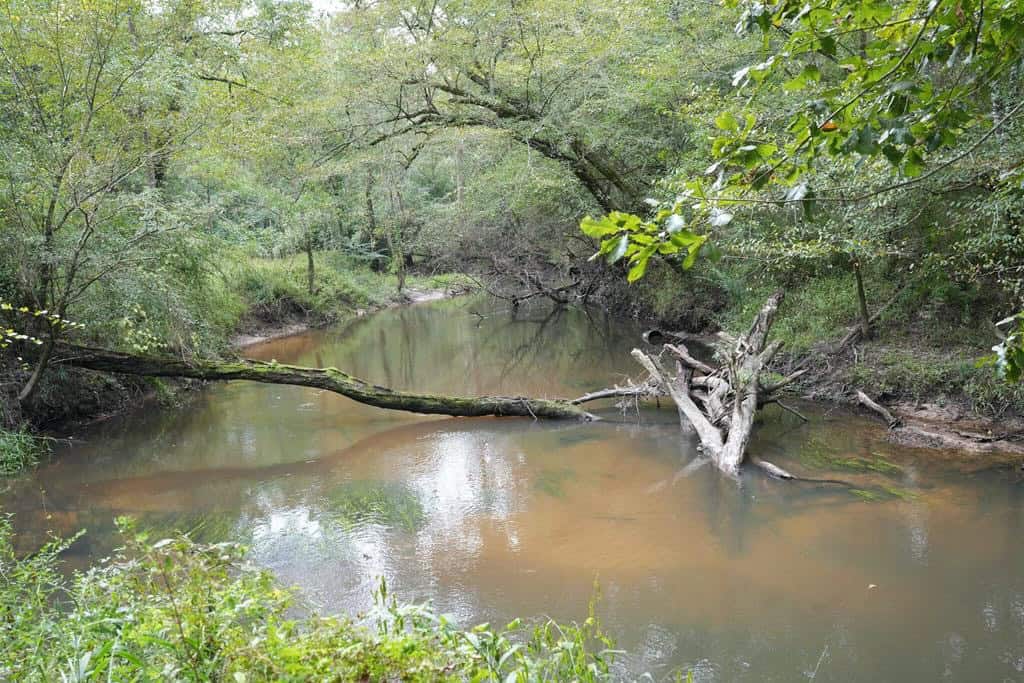 34 Acres Waterfront Property South Mississippi with Cabin