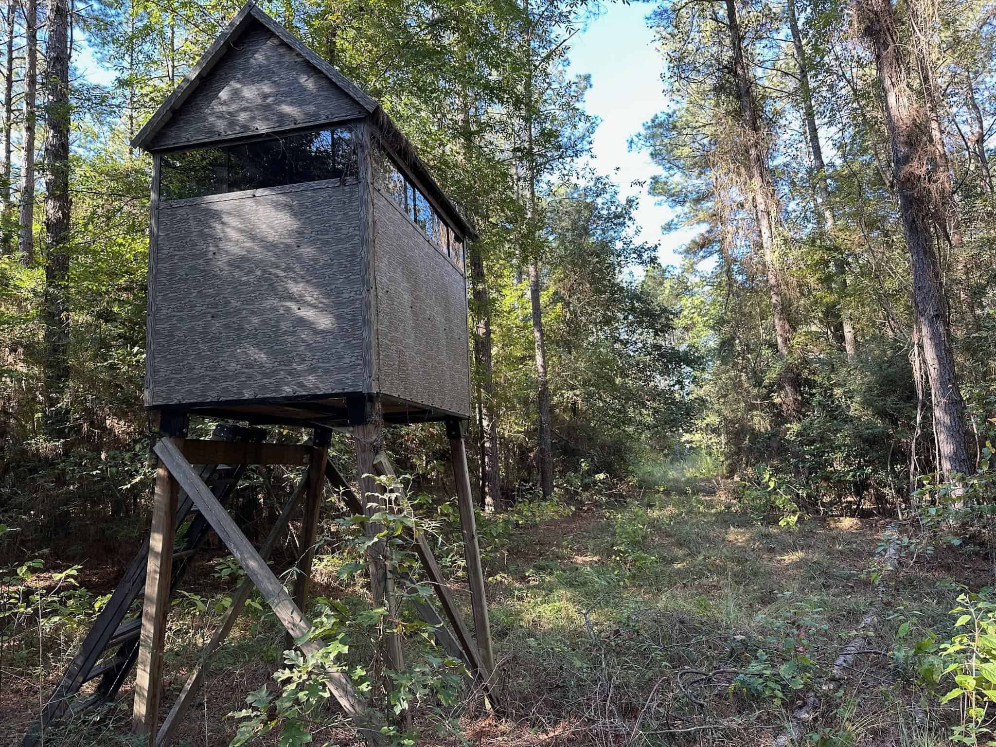 Hunting and Timberland Tract for sale in North Louisiana