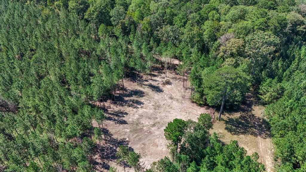 Turnkey Property in Amite County Connected to Caston Creek
