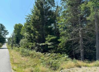 21 Acre Wooded Lot