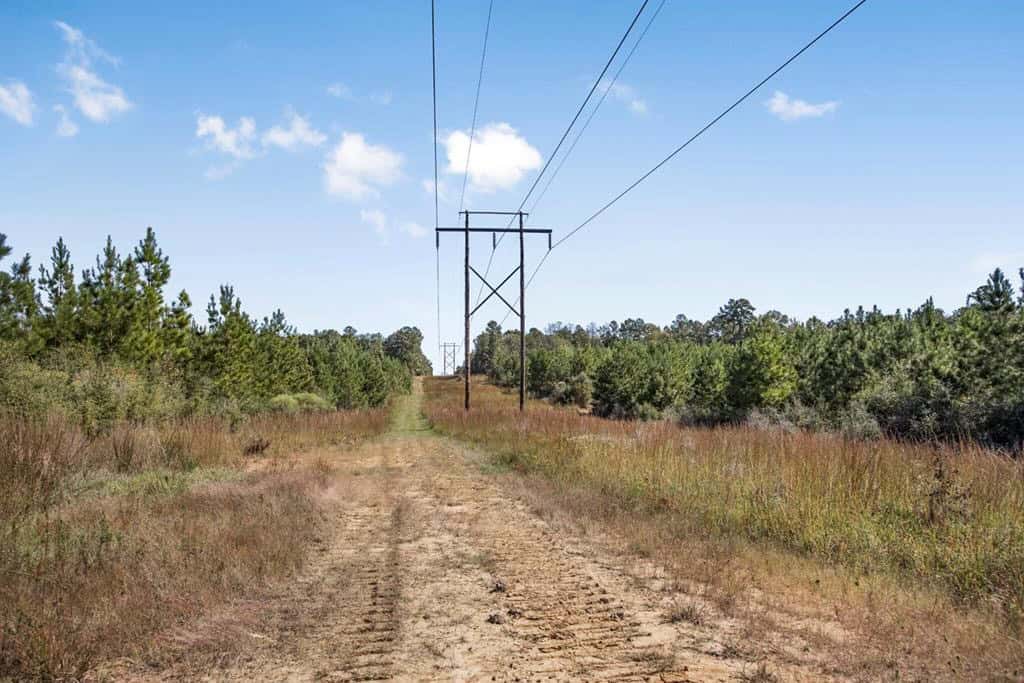 Affordable Hunting Property Adjoining National Forest
