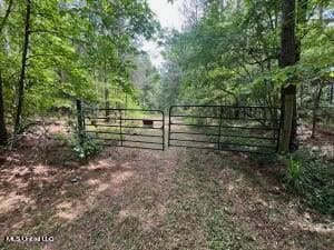 28 Acres in Hinds County