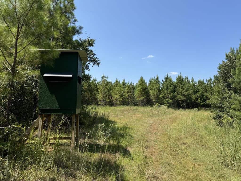 45 Acre Timberland Hunting Lincoln County South MS