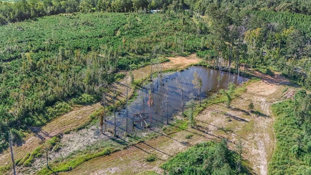 Small Hunting Tract in Amite County, MS