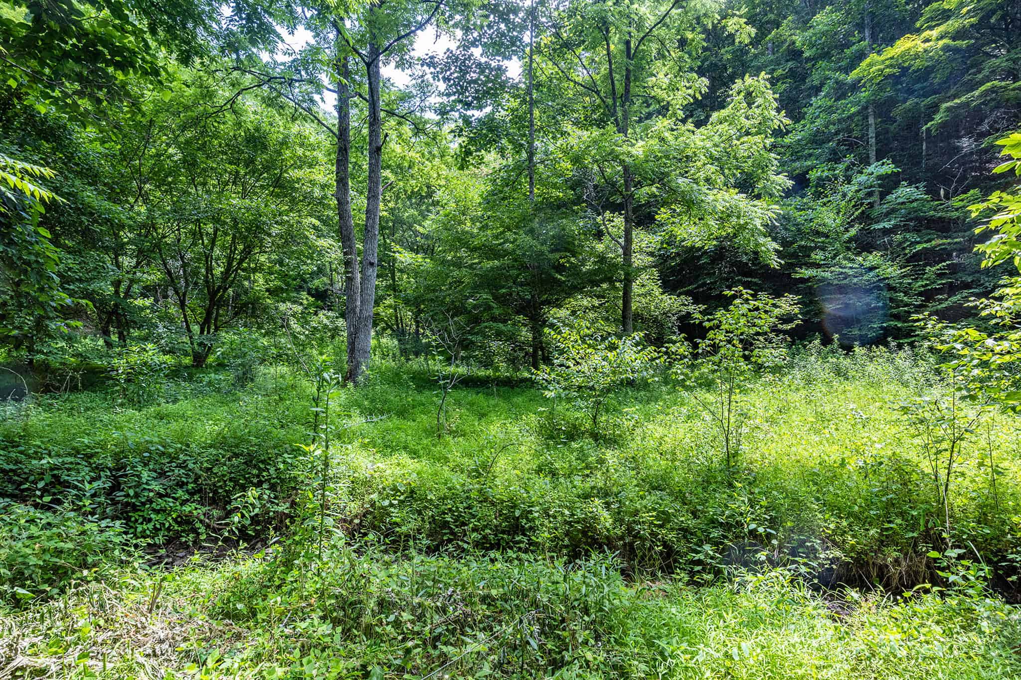 Building Lot for Sale in Bristol VA