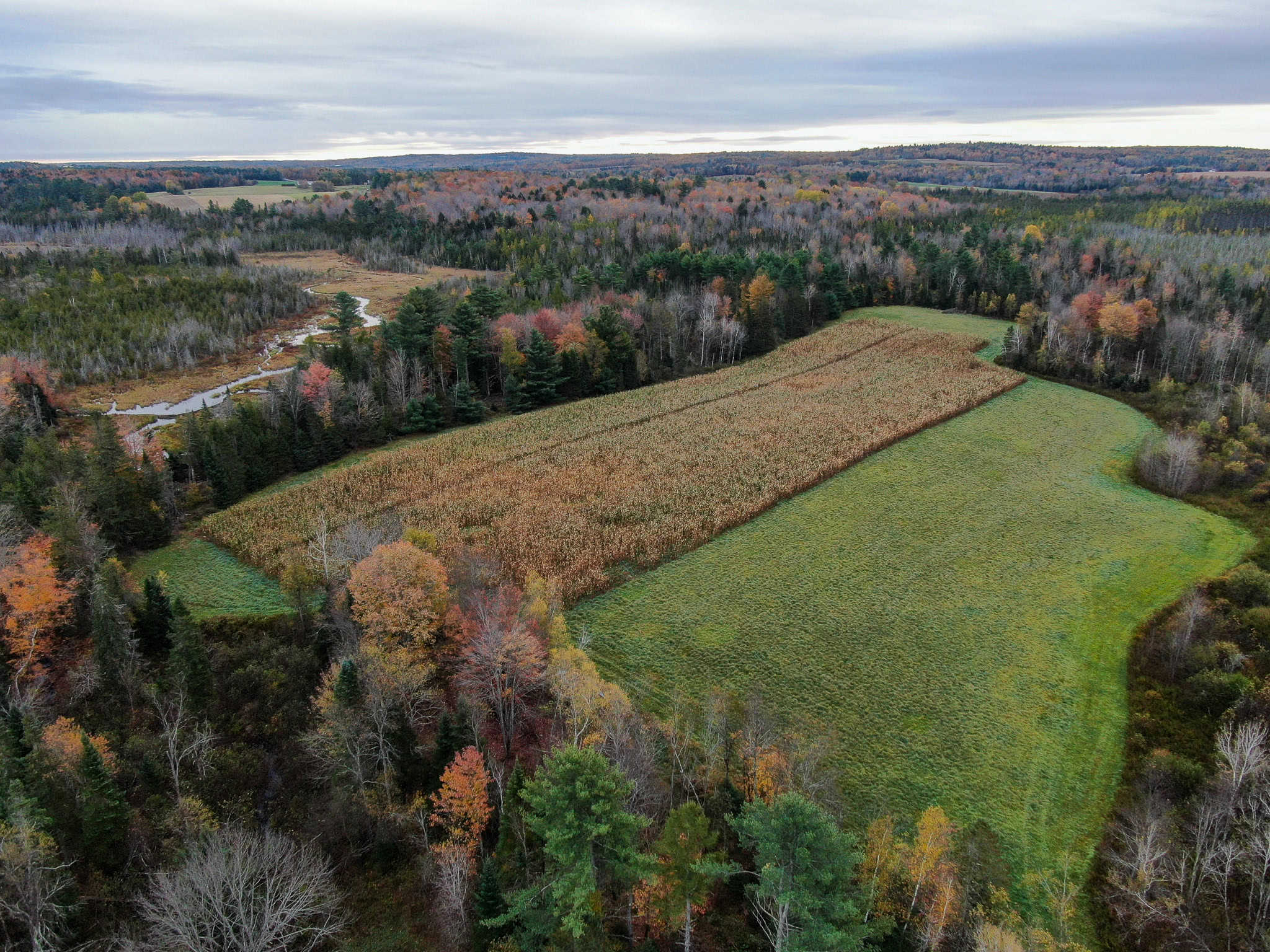Homestead & Hunting Land in Central Maine
