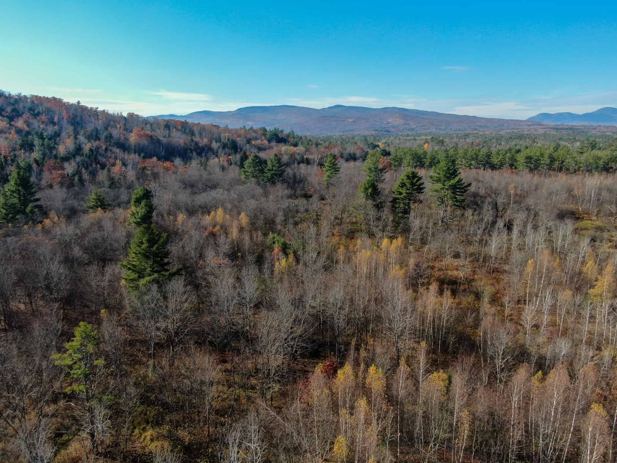 43 Acres Raw Land with River Access