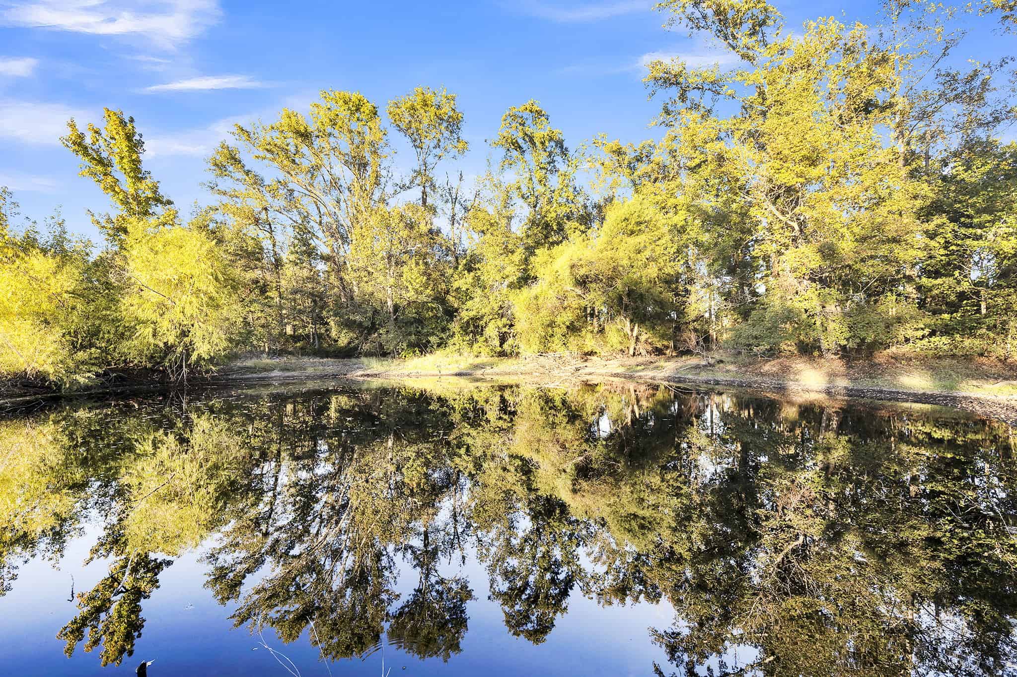 SOLD! Texas Land for Sale East of Dallas Near Ben Wheeler