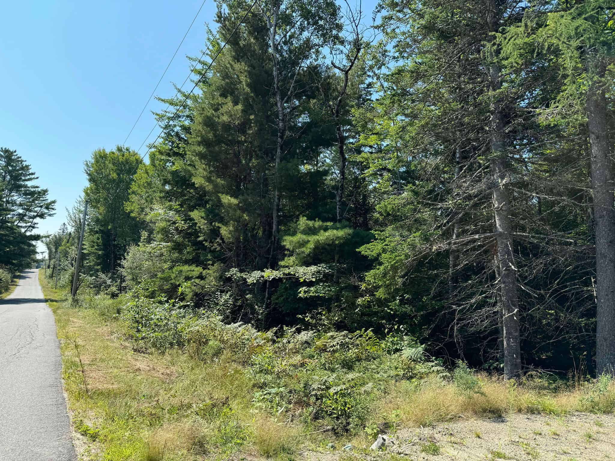 21 Acre Wooded Lot