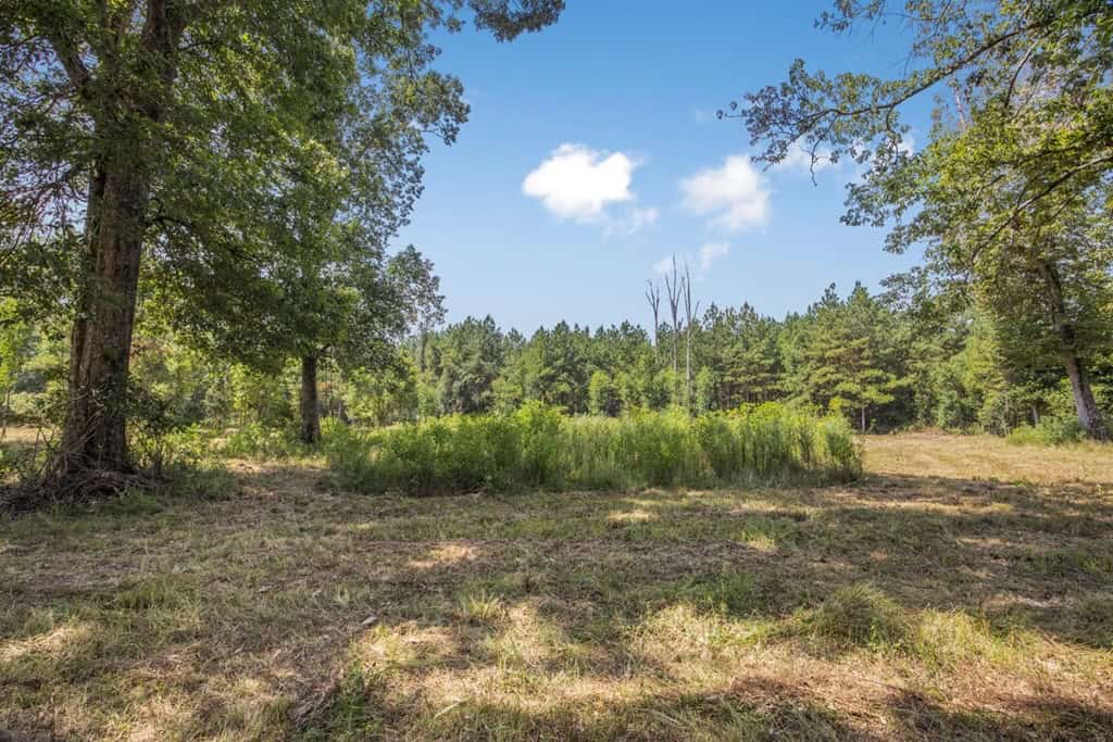 137 Acres for Sale with Comite River Frontage
