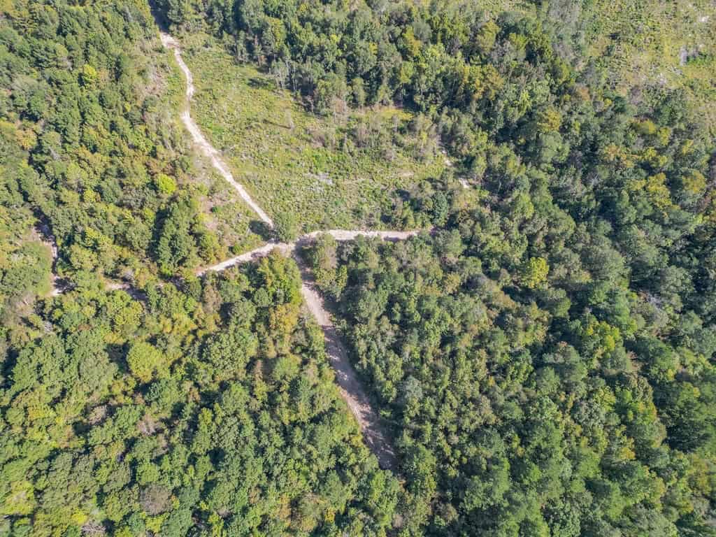 Hunting and Timberland for Sale in Ouachita Parish, LA