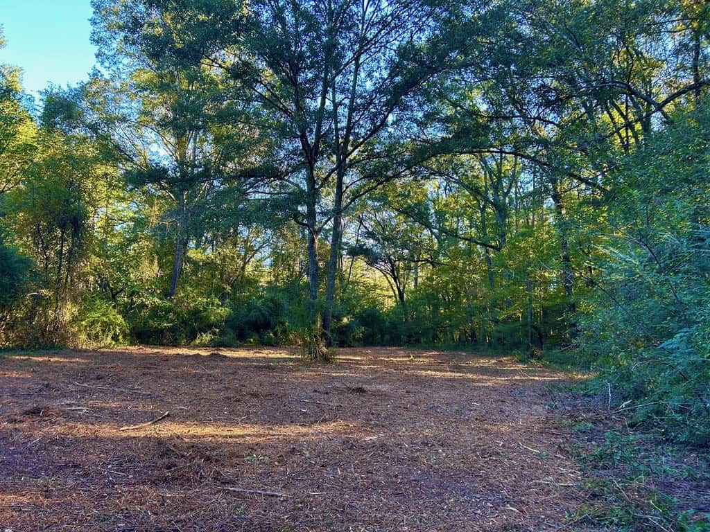 Smithdale MS 80+- Acres For Sale