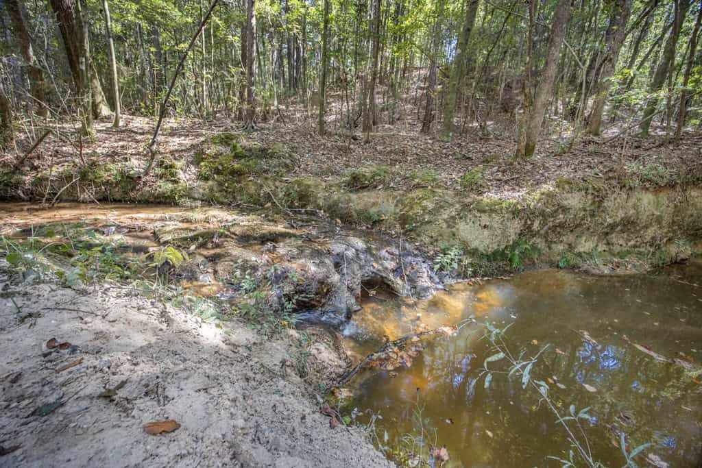 Turnkey Property in Amite County Connected to Caston Creek